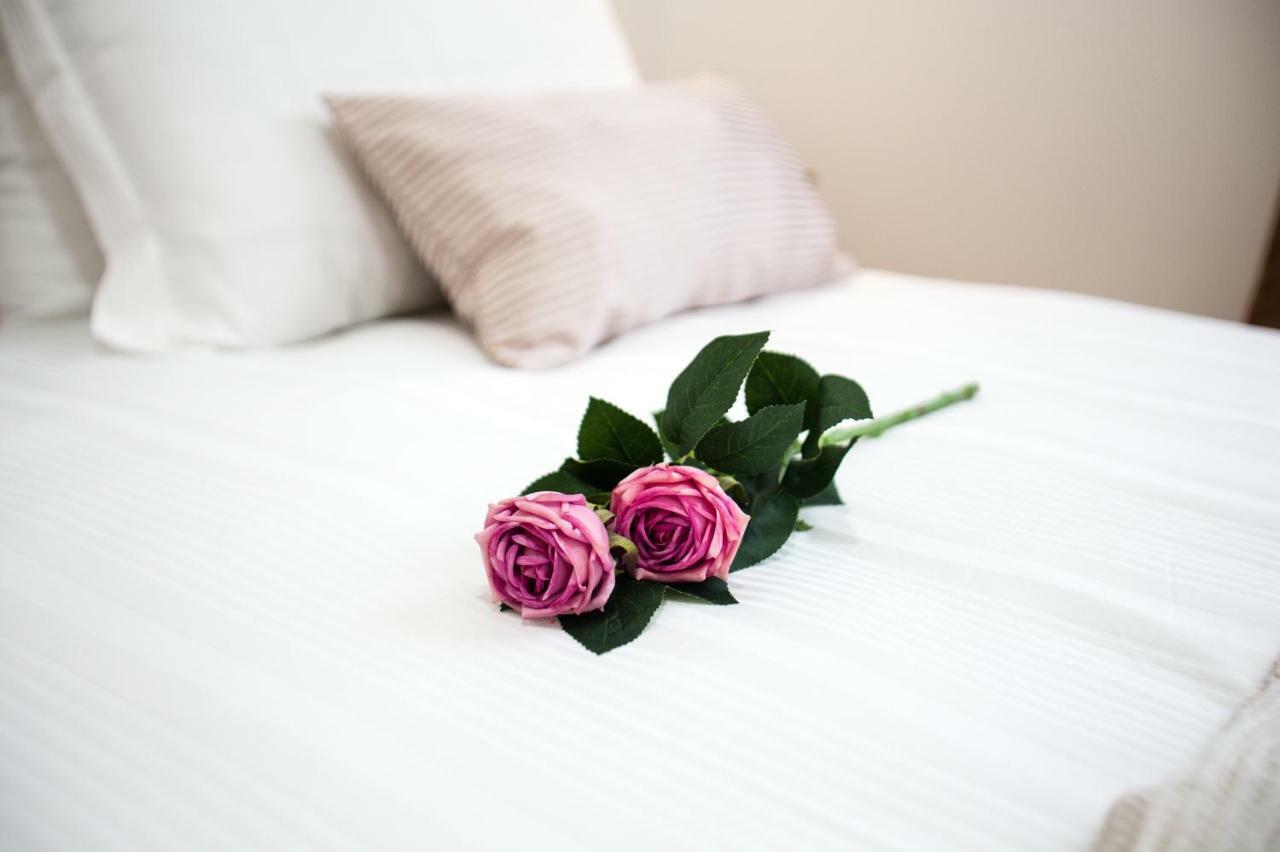Sunny Nest Apartments Kotor Ngoại thất bức ảnh